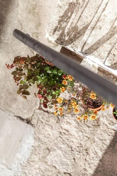 Casetta Laura C.I.S. Br07401291000012685 Ostuni Ngoại thất bức ảnh